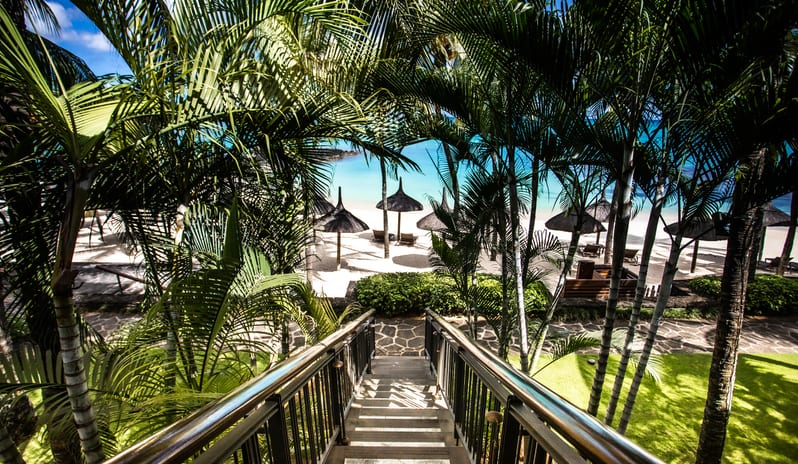 Royal Palm Hires 8489